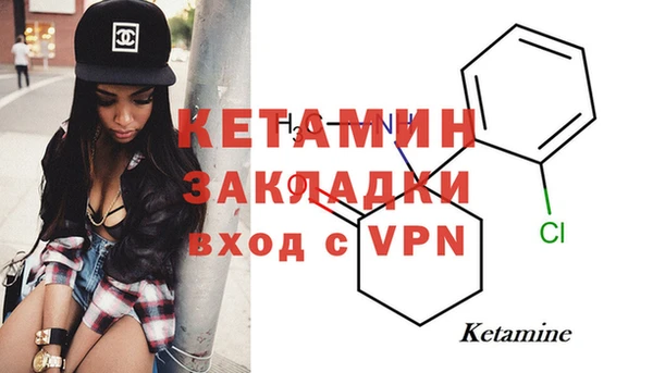 хмурый Верея