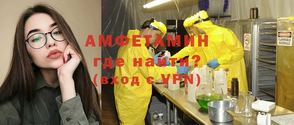 хмурый Верея