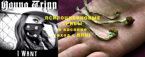 apvp Верхний Тагил