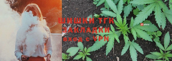 хмурый Верея