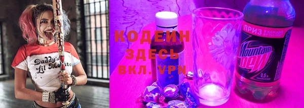 хмурый Верея