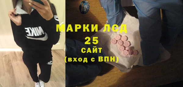 хмурый Верея