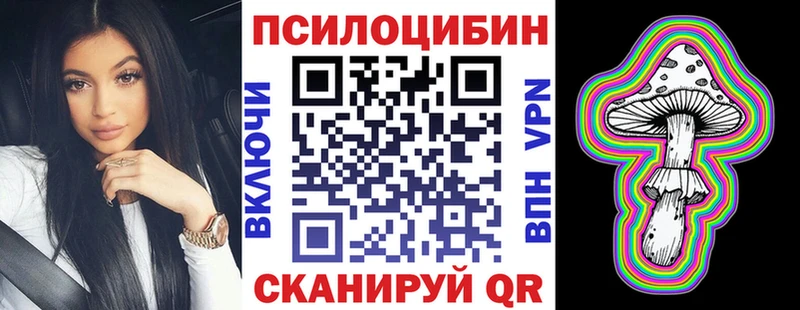 Псилоцибиновые грибы Cubensis Кировск