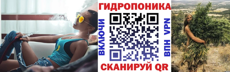 Канабис планчик  Кировск 